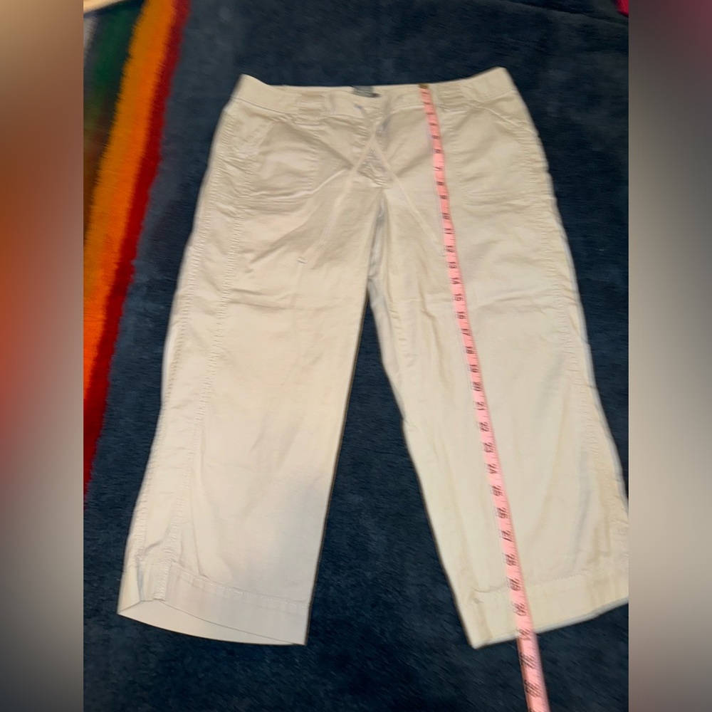 Ann Taylor Light Gray Capri Pants 14 - Picture 3 of 4